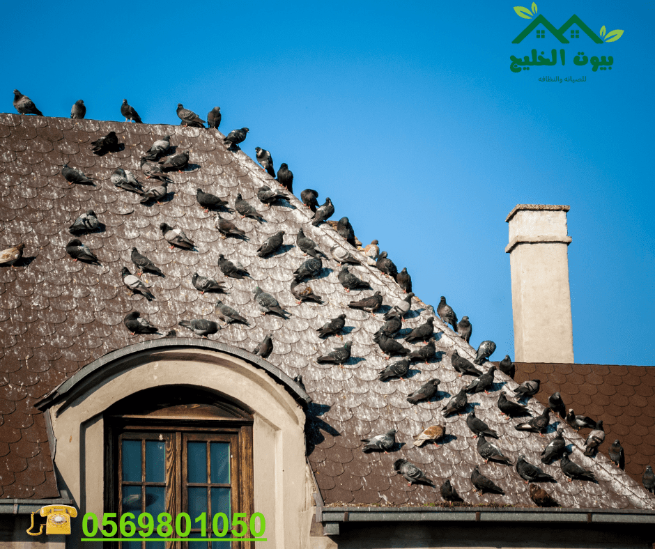 ارخص شركة تركيب طارد حمام